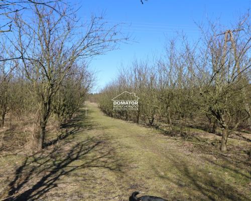 Działka 3012 m2 Tryszczyn