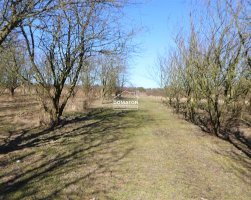 Działka 3012 m2 Tryszczyn