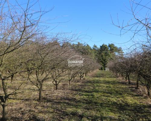 Działka 3012 m2 Tryszczyn