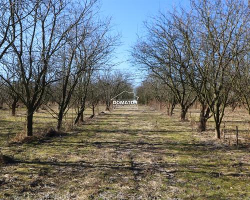 Działka 3012 m2 Tryszczyn