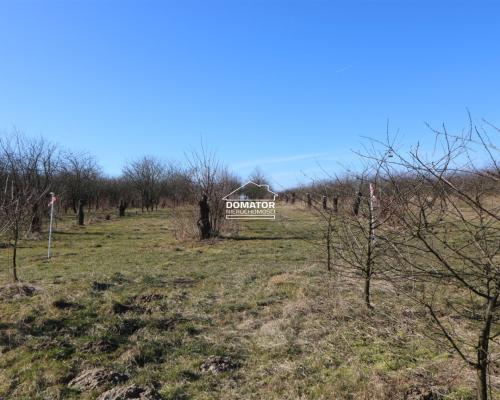 Działka 3012 m2 Tryszczyn