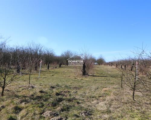 Działka 3012 m2 Tryszczyn