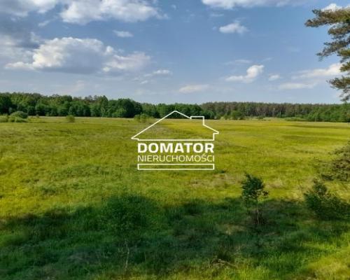 Działka 2,6400 ha Lipinki