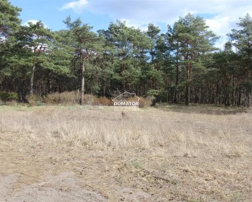 Atrakcyjna Działka w Solcu Kujawskim!