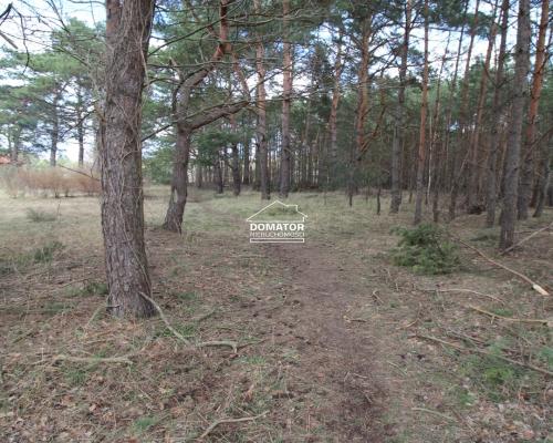 Atrakcyjna Działka w Solcu Kujawskim!