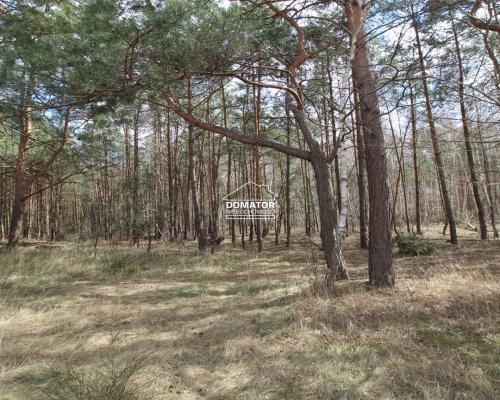 Atrakcyjna Działka w Solcu Kujawskim!