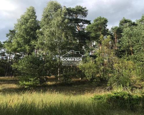 Na sprzedaż atrakcyjna działka w otulinie lasu, w Borach Tucholskich.   Polecam pięknie położoną działkę w miejscowości Legbą