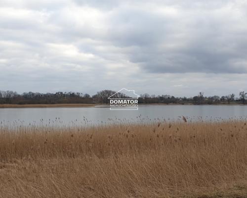 Działka rekreacyjne 3000 m2 w Wąsoszu