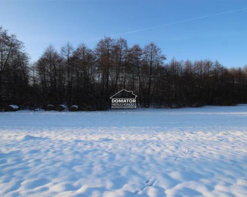 Działka nad Zalewem Koronowskim - Nowy Jasiniec