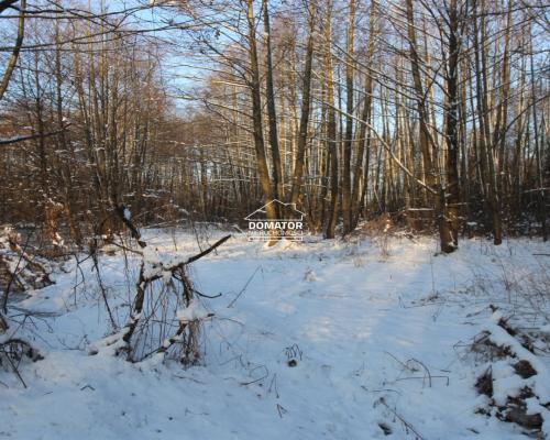 Działka nad Zalewem Koronowskim - Nowy Jasiniec