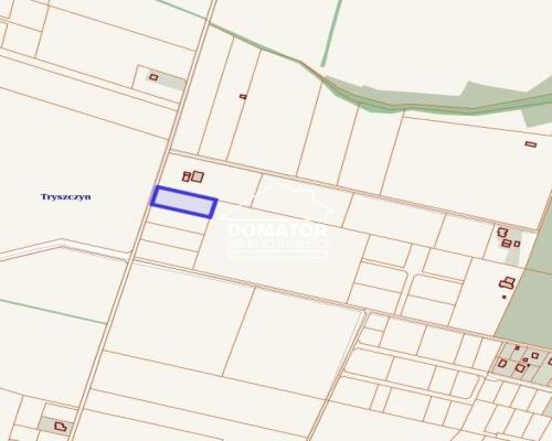 Działka 3054 m2 Tryszczyn
