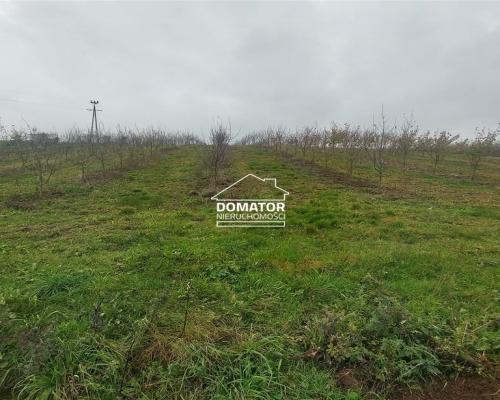 Malownicza działka 1500 m2, Tryszczyn