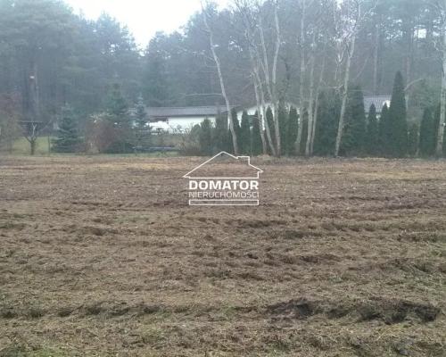 Sprzedam podmiejskie działki budowlane w lesie - zabudowa jednorodzinna, usługi, drobna wytwórczość - Gmina Solec Kujaws