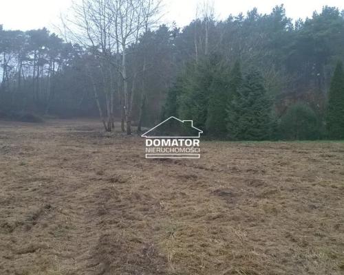Sprzedam podmiejskie działki budowlane w lesie - zabudowa jednorodzinna, usługi, drobna wytwórczość - Gmina Solec Kujaws