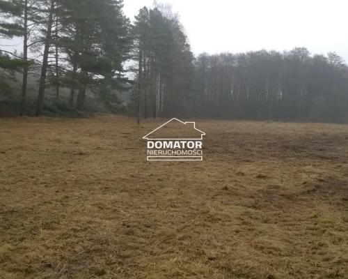 Sprzedam podmiejskie działki budowlane w lesie - zabudowa jednorodzinna, usługi, drobna wytwórczość - Gmina Solec Kujaws