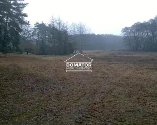 Sprzedam podmiejskie działki budowlane w lesie - zabudowa jednorodzinna, usługi, drobna wytwórczość - Gmina Solec Kujaws