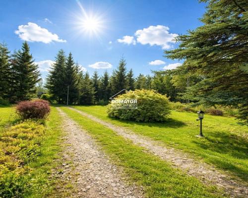 Ostatnie działeczki  Gzin /Dąbrowa Chełmińska