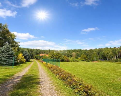 Ostatnie działeczki  Gzin /Dąbrowa Chełmińska