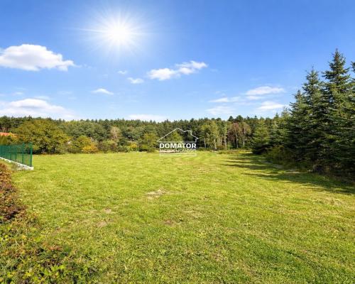 Ostatnie działeczki  Gzin /Dąbrowa Chełmińska