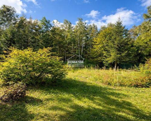 Ostatnie działeczki  Gzin /Dąbrowa Chełmińska