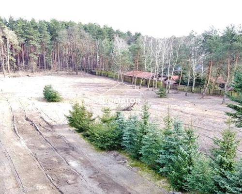 Ostatnie działeczki  Gzin /Dąbrowa Chełmińska