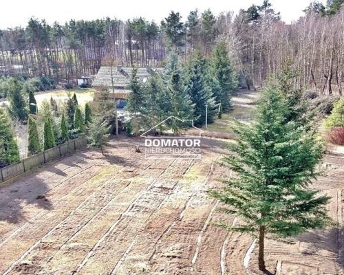 Ostatnie działeczki  Gzin /Dąbrowa Chełmińska