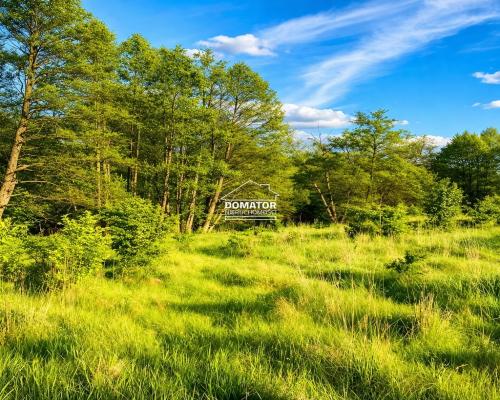 Działka budowlana 7600 m² nad rzeką Brdą.