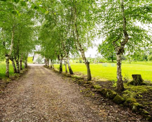 Gospodarstwo około 2 ha w Łazanach gm.Biskupice