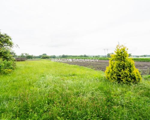 Duża działka z domem do remontu