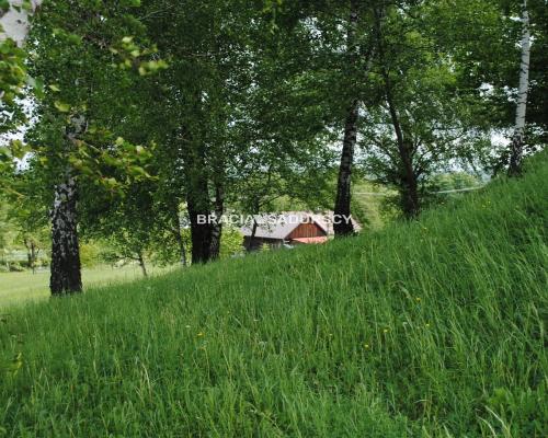 Gospodarstwo około 1,5 ha w Łazanach gm.Biskupice