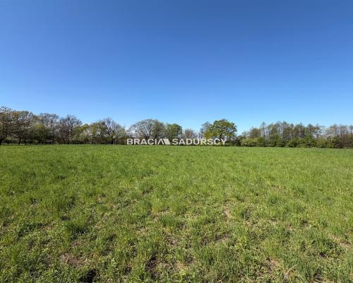 Widokowa działka rolno-budowlana 30 arów