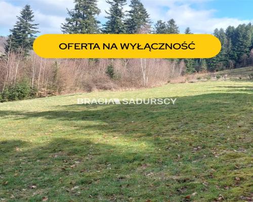 Działka rolna z możliwością zmiany na budowlaną