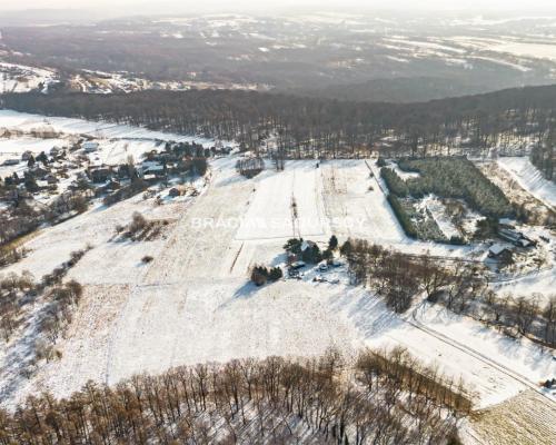 Płaska działka 2,21ha | Inwestycja | Natura