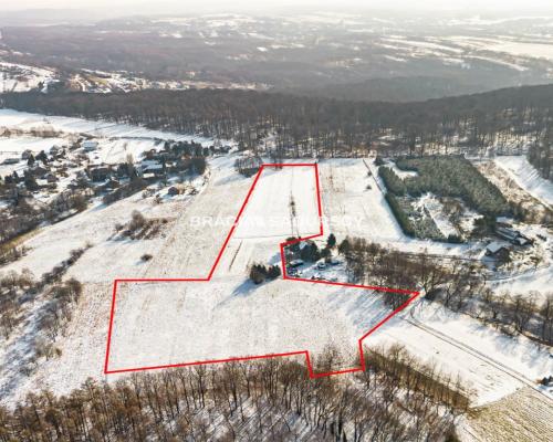 Płaska działka 2,21ha | Inwestycja | Natura