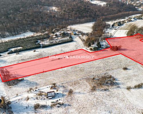 Płaska działka 2,21ha | Inwestycja | Natura