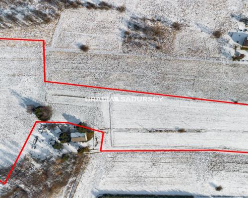 Płaska działka 2,21ha | Inwestycja | Natura