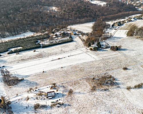 Płaska działka 2,21ha | Inwestycja | Natura