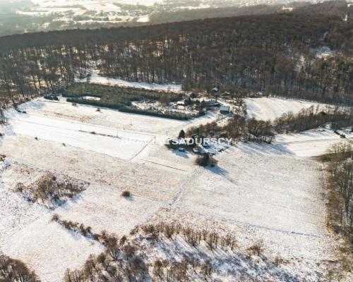 Płaska działka 2,21ha | Inwestycja | Natura