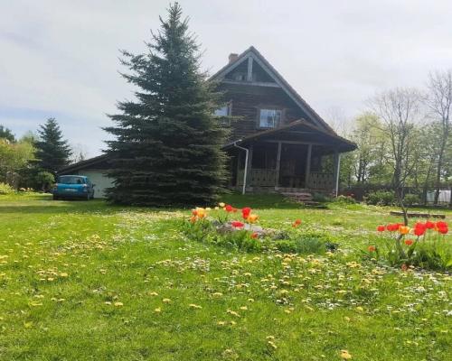 Dom w Dojlidach Górnych