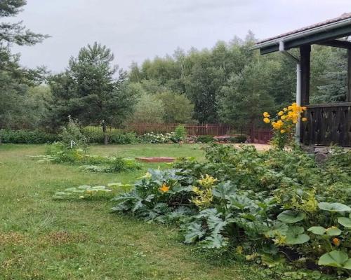 Dom w Dojlidach Górnych