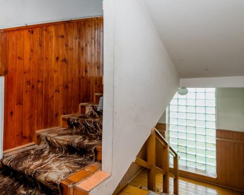 Dom 2 piętrowy, ogród