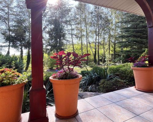 Dom z ogrodem Porosły