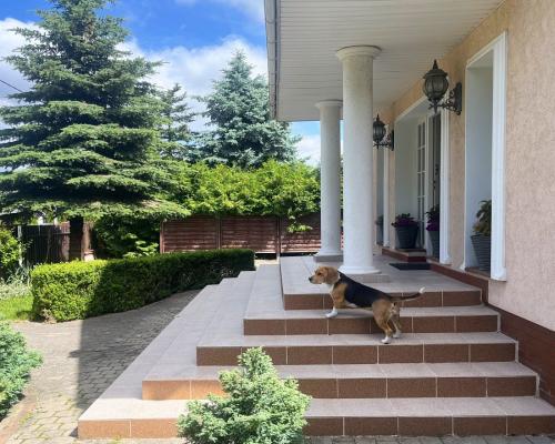 Dom z ogrodem Porosły