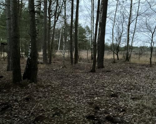 Większość atrakcyjnych nieruchomości w tej okolicy znika zanim trafia na portale. Dlatego pracujemy również na ofertach dostępn