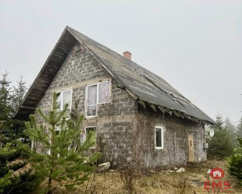 Dom w otoczeniu drzew.