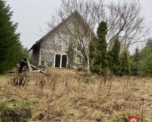 Dom w otoczeniu drzew.