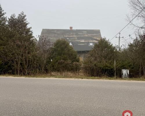 Dom w otoczeniu drzew.