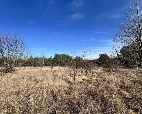 Dla rodziny blisko szkoły.