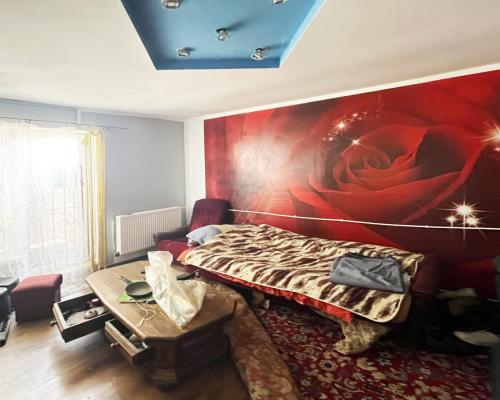 Dom,  hala, działka. Nieruchomość do wykończenia.