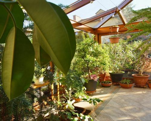 Dom z sauną i oranżerią, Jaroszówka